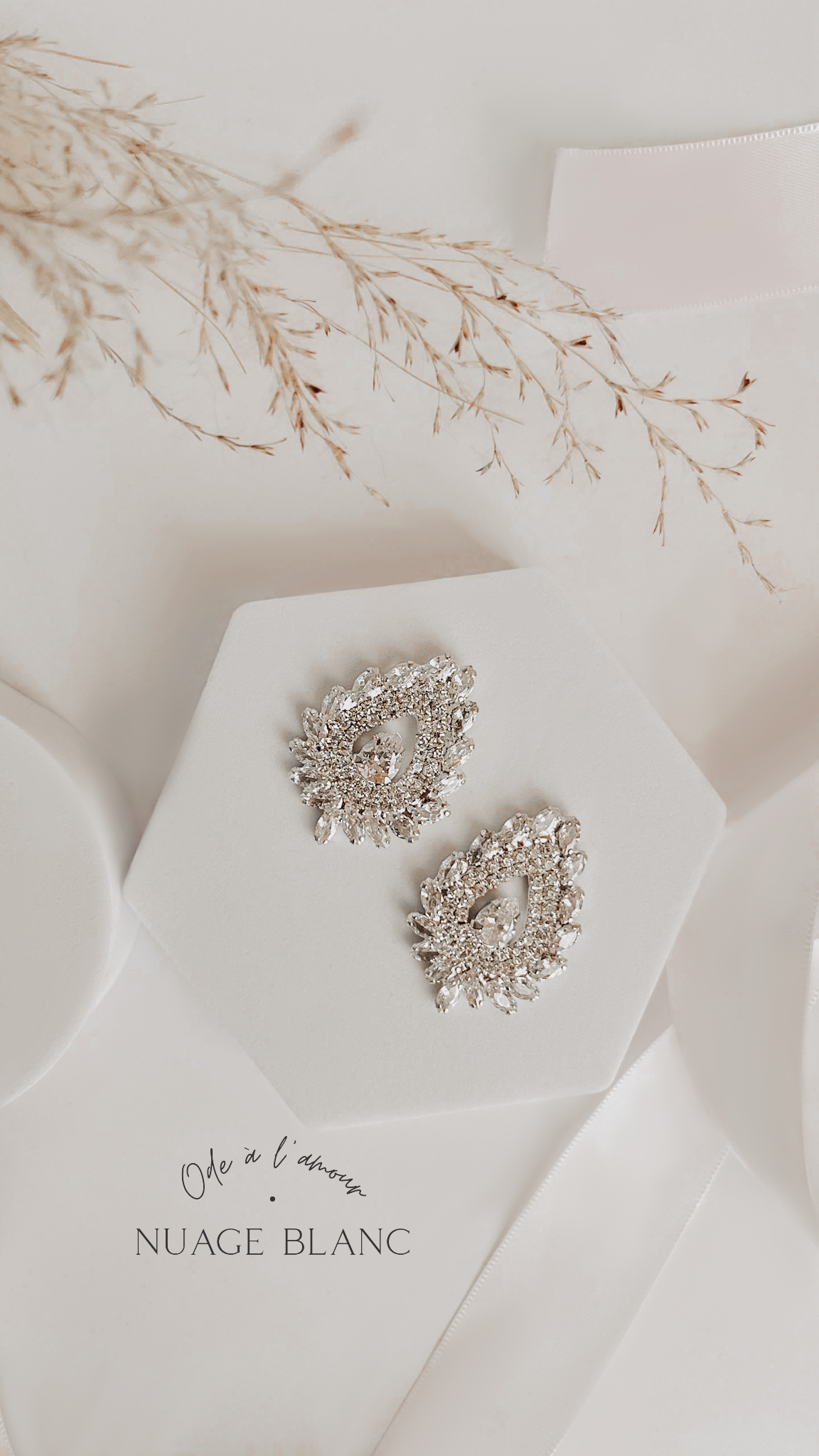 Puces d’oreilles en zircon assez larges 
