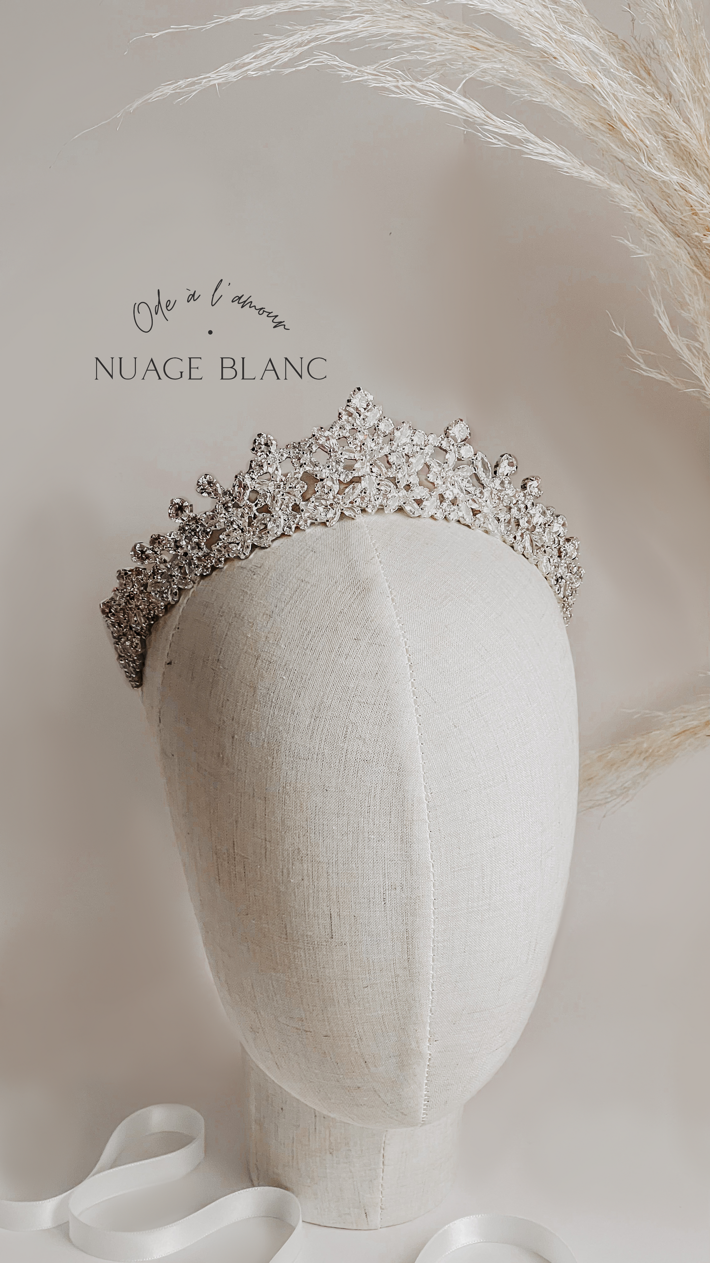 Couronne en zircon 